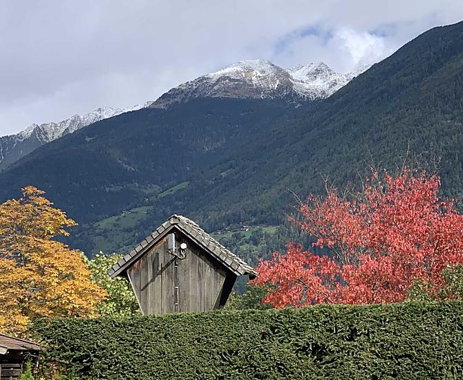 Bomen in de herfst op de Winklerhof