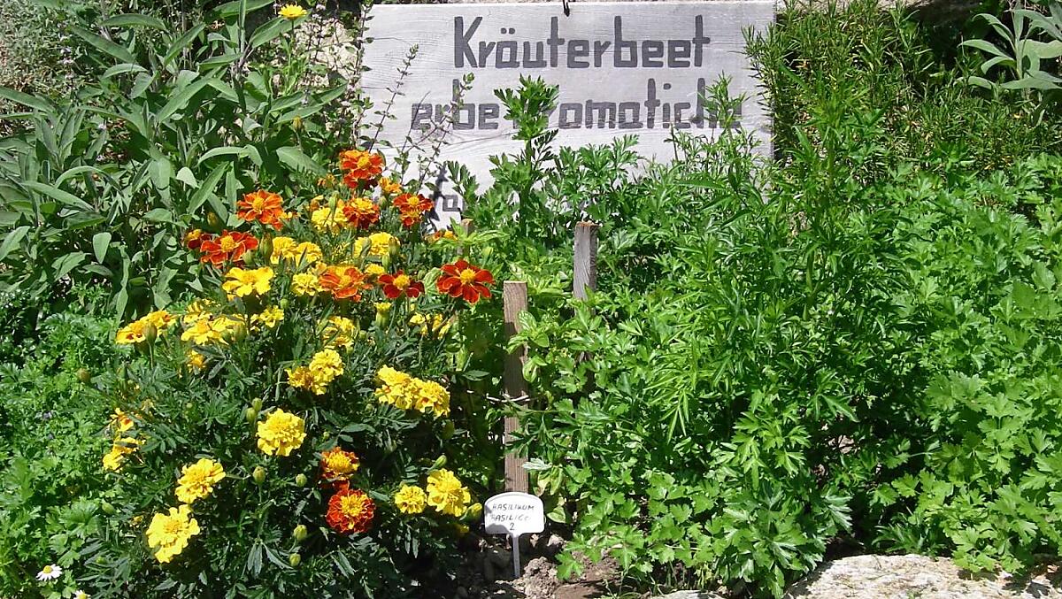 Kruidenbed voor onze gasten