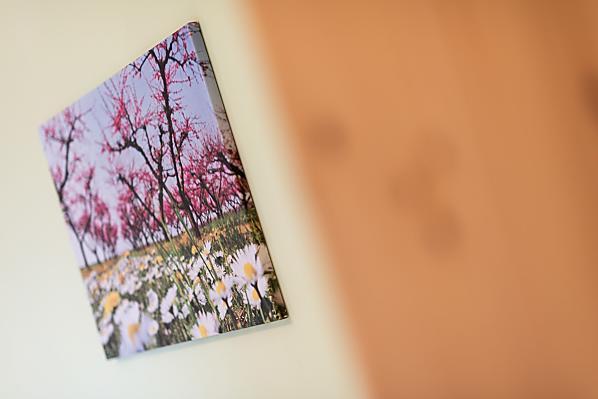 Eich-Hof - Camere e appartamenti Photo