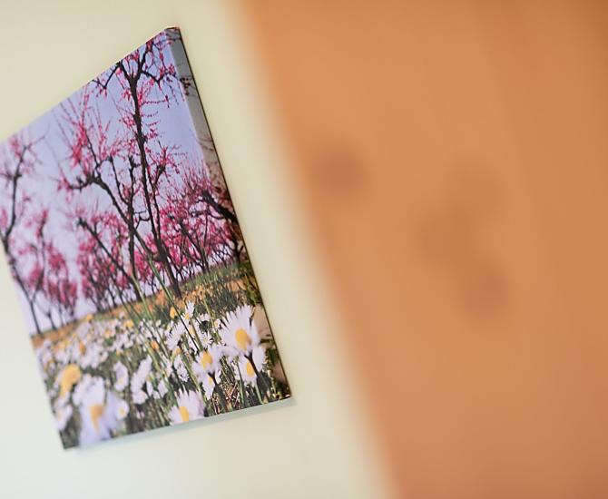Eich-Hof - Galleria fotografica Photo