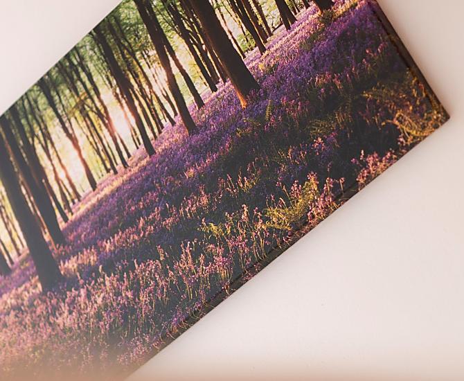 Eich-Hof - Galleria fotografica Photo