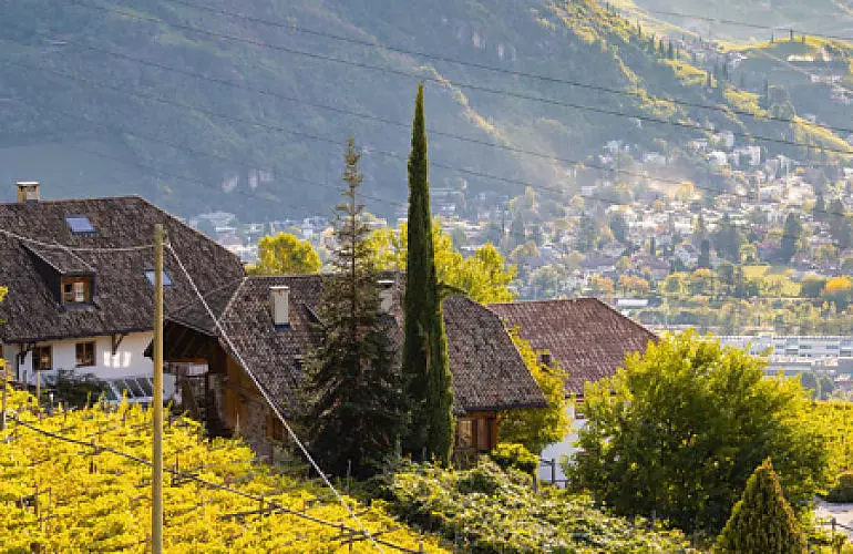 De kookschool op de boerderij in Zuid-Tirol De kookschool op de boerderij in Zuid-Tirol