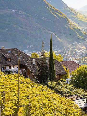 De kookschool op de boerderij in Zuid-Tirol