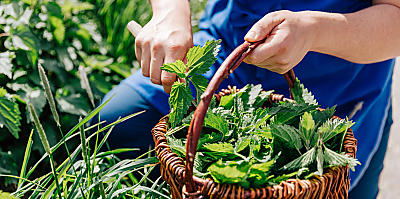 Koken met de natuur van Zuid-Tirol