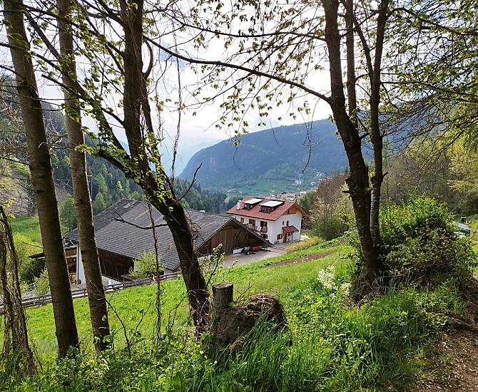 Töniglerhof - Galleria fotografica Photo