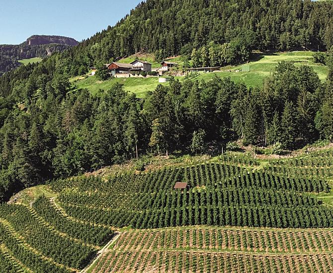 Leitnerhof - Galleria fotografica Photo