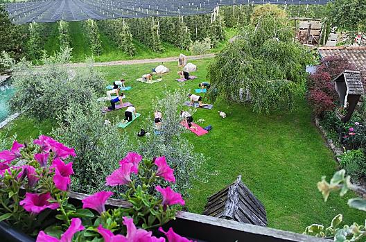 Yoga op de boerderij