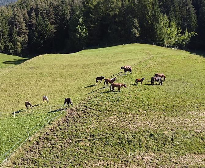 Ladinserhof - Galleria fotografica Photo