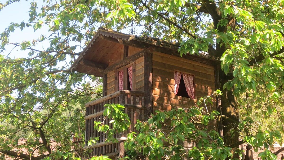 Boomhut