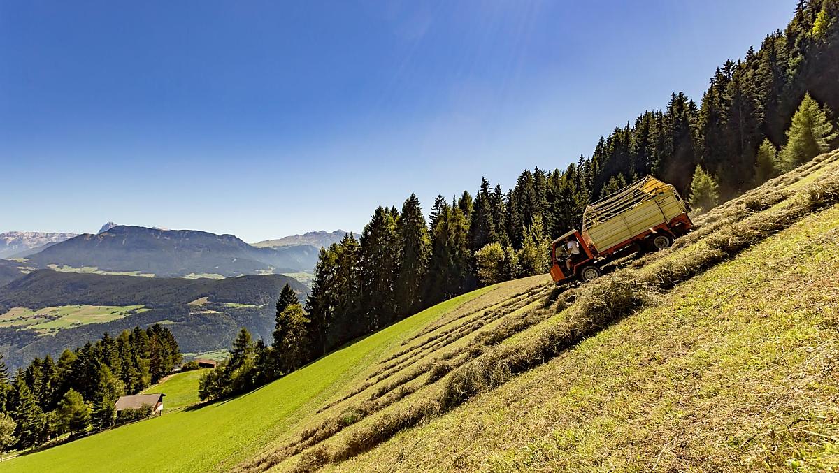 Hooioogst op onze alpenweide 'Kaserol', vlakbij de watervallen van Barbian.