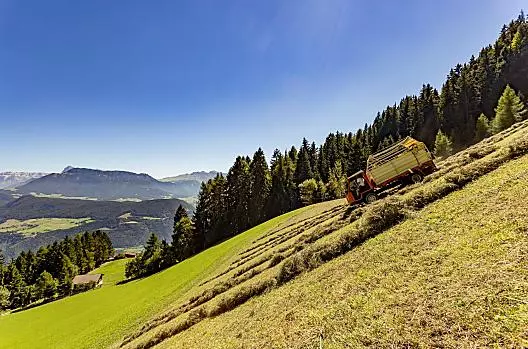 Hooioogst op onze alpenweide 'Kaserol', vlakbij de watervallen van Barbian.