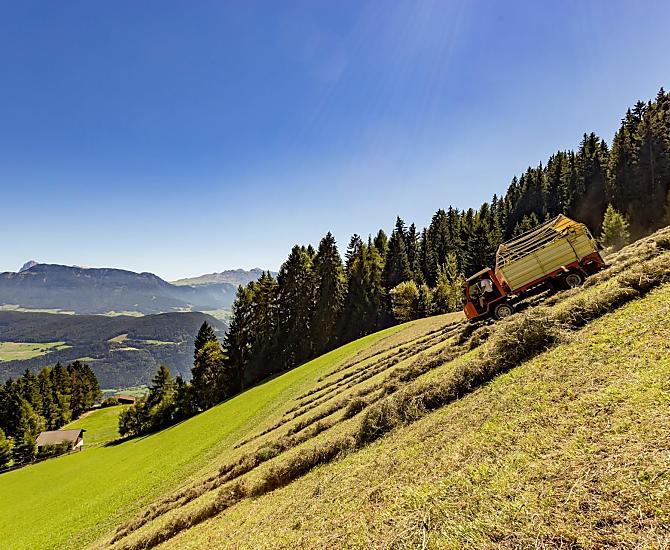 Hooioogst op onze alpenweide 'Kaserol', vlakbij de watervallen van Barbian.