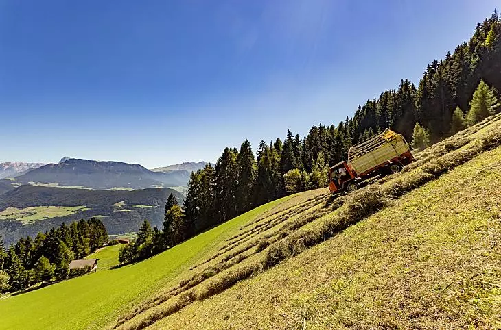 Hooioogst op onze alpenweide 'Kaserol', vlakbij de watervallen van Barbian.