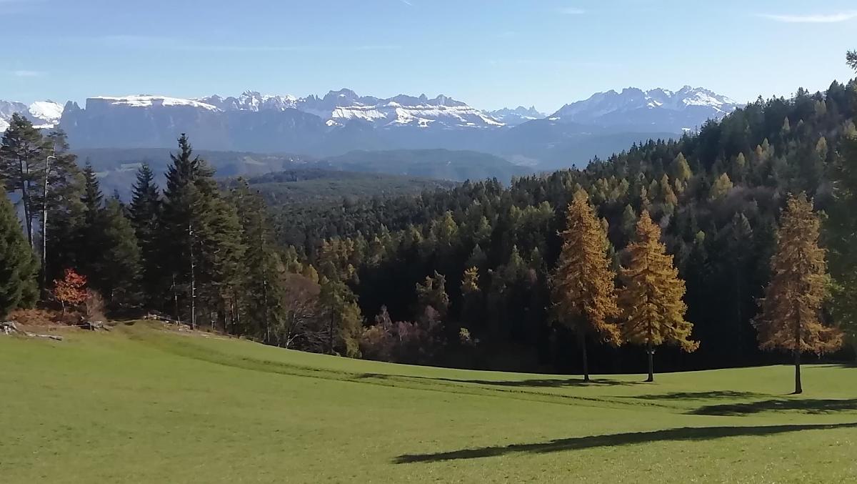 De 'Gotterwold-weide' in de herfst.