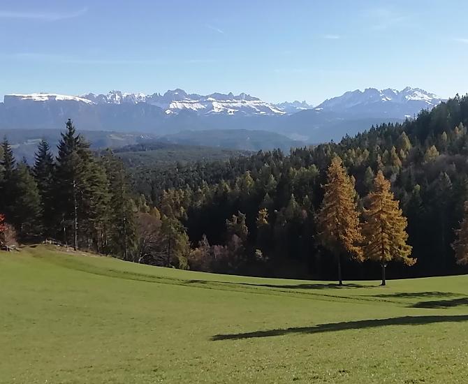 De 'Gotterwold-weide' in de herfst.