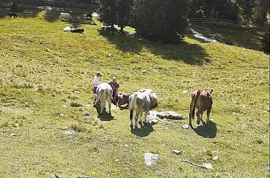 Op de bergweide