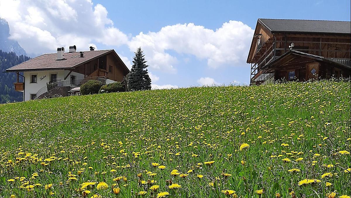 Gutonhof - Galleria fotografica Photo