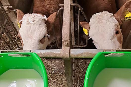 Ameli en Kranze terwijl ze melk drinken