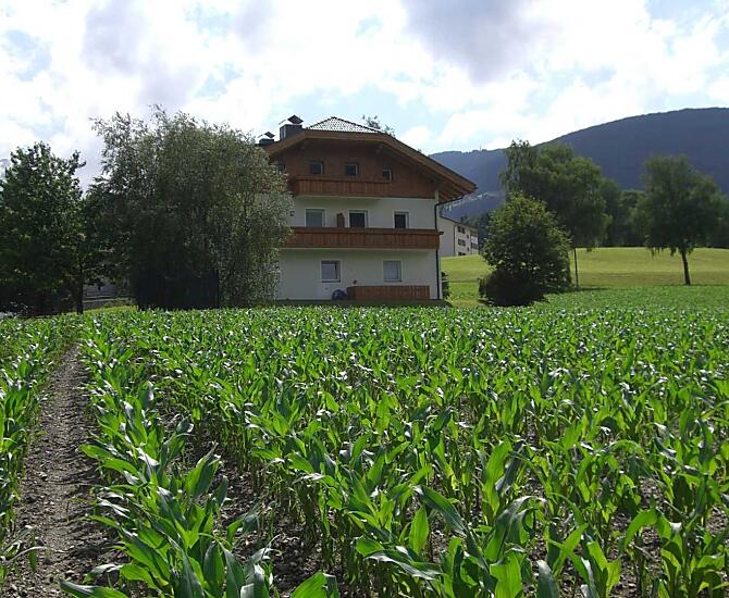 Unterhauserhof - Galleria fotografica Photo