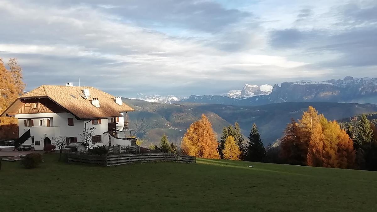 De kleurrijke pracht in de herfst met sneeuw op de bergen