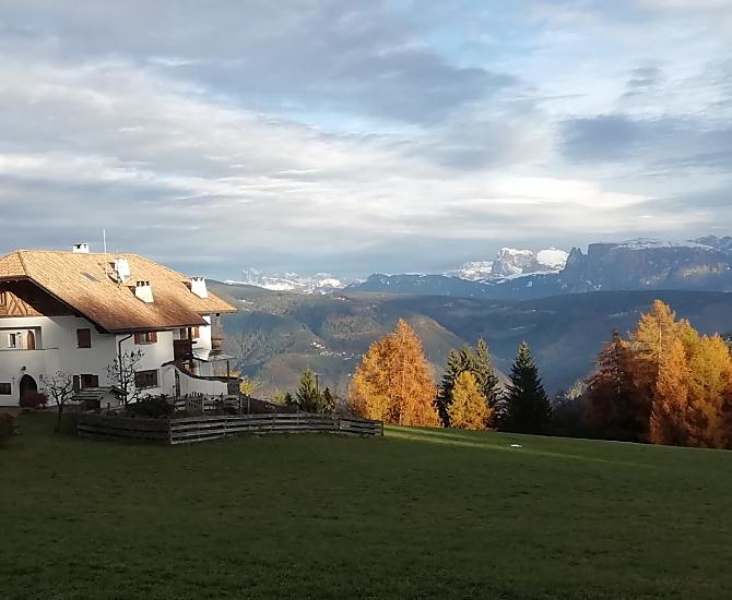 De kleurrijke pracht in de herfst met sneeuw op de bergen