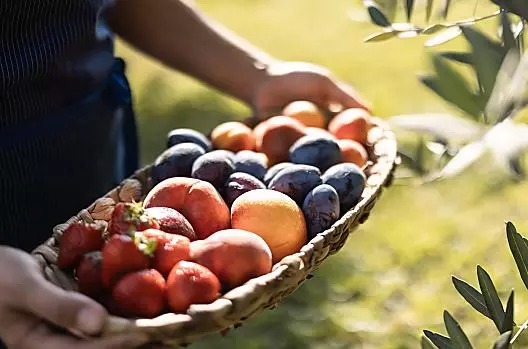  In de zomer is er vers fruit en groenten uit de tuin.
