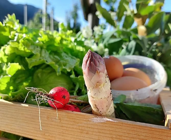 Groenten uit eigen tuin