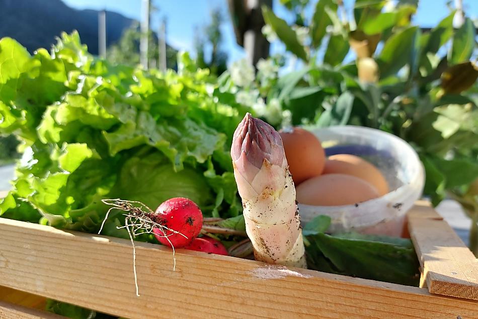 Groenten uit eigen tuin