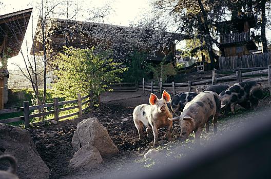 Obertimpflerhof - Elenco Photo