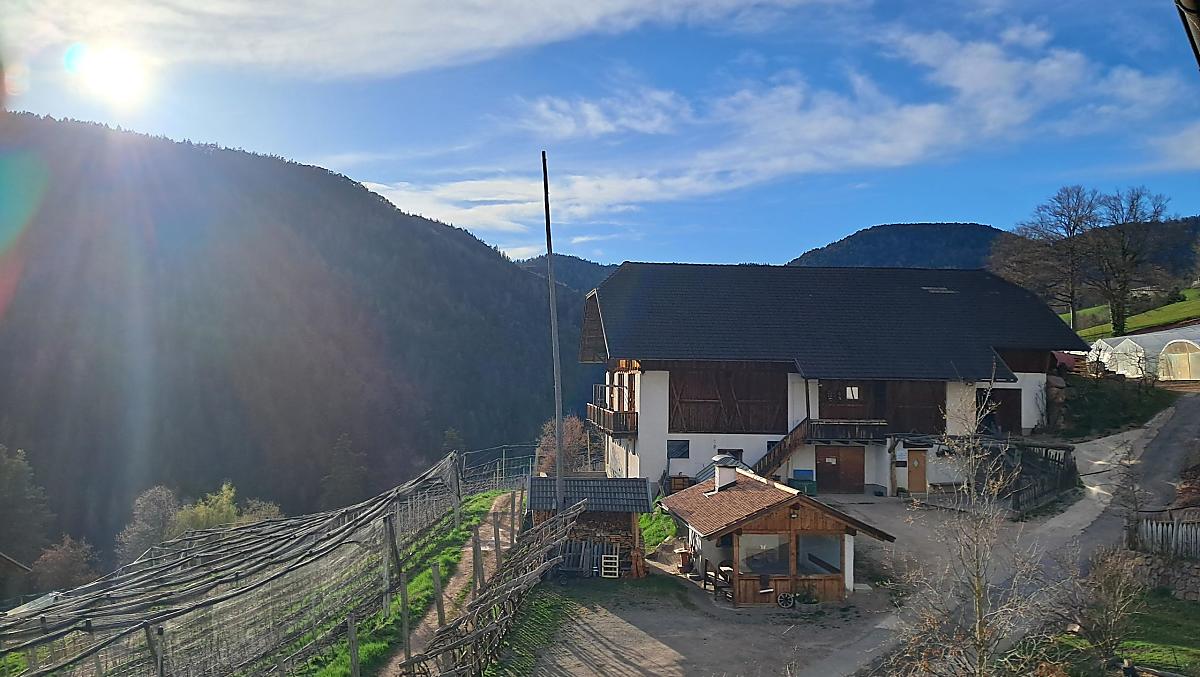 Schuur en bakoven