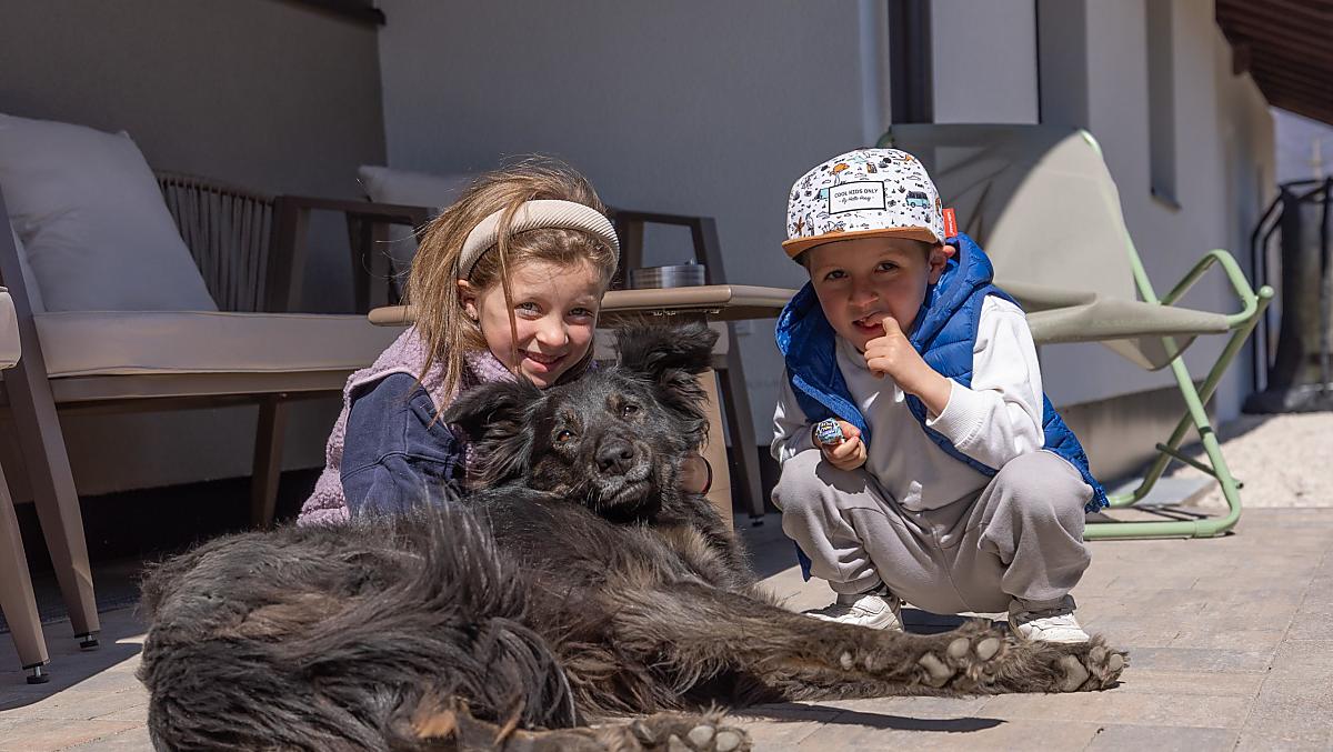 Onze boerderijhond Lilli wordt graag door onze kleintjes geaaid.