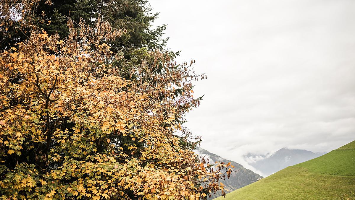 Zalnerhof - Galleria fotografica Photo