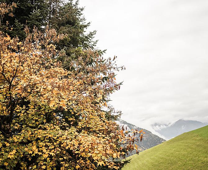 Zalnerhof - Galleria fotografica Photo