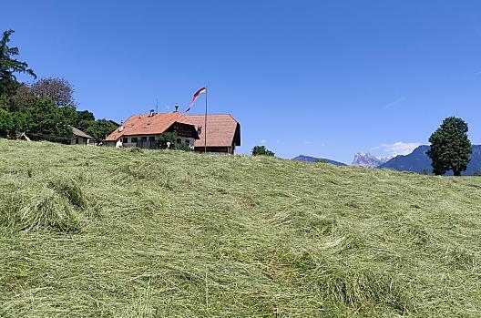 Aschnerhof - Elenco Photo