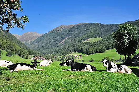Leimgruberhof - Elenco Photo