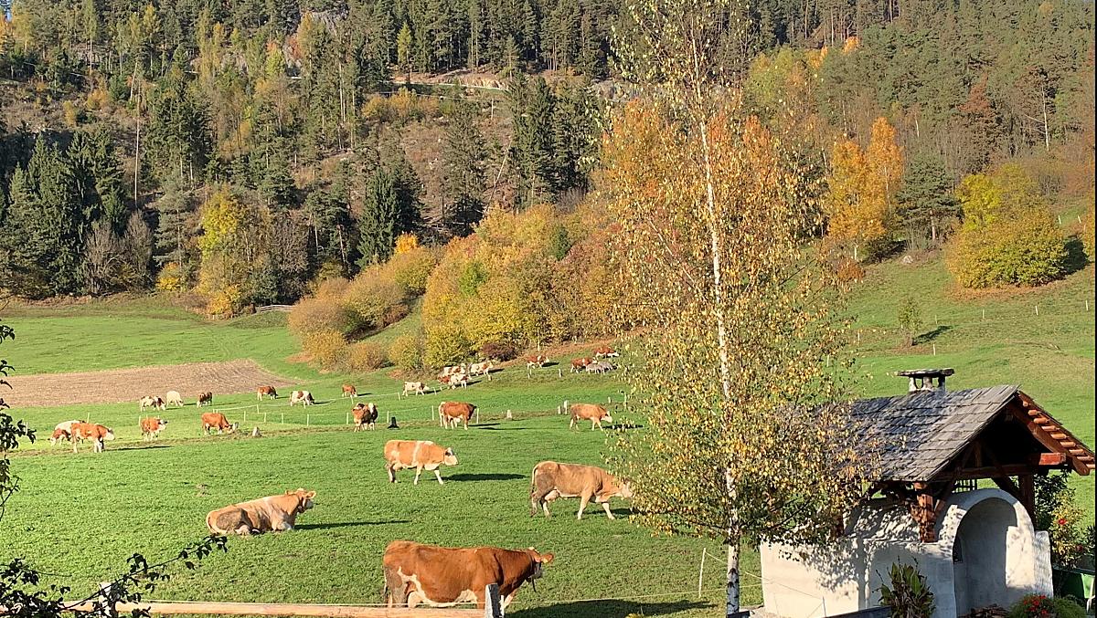 Herbst
