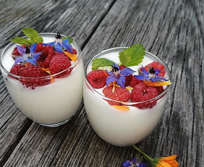 Wij houden van de natuur: bij de productie van onze verse hooi-melkyoghurt brengen wij dit dichter bij onze gasten.
