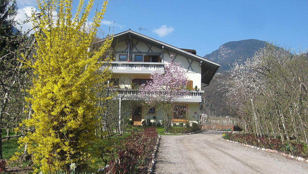 Frühling