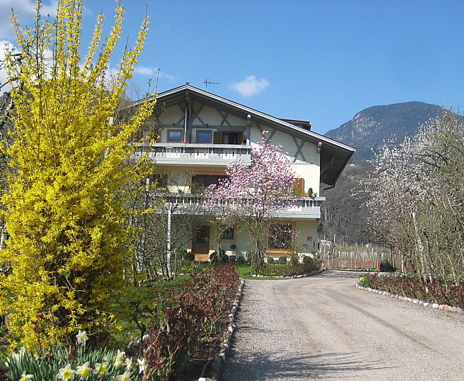 Frühling