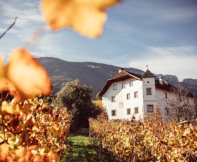 Weinhof Von Payr - Galleria fotografica Photo