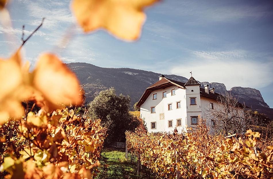 Weinhof Von Payr - Galleria fotografica Photo
