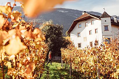 Weinhof Von Payr - Prodotti del maso Photo