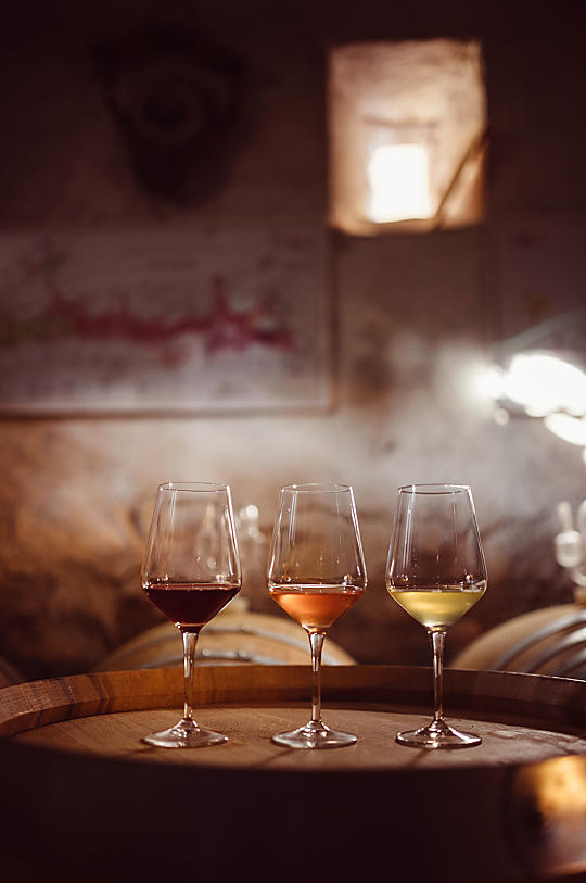 Weinhof Von Payr - Prodotti del maso Photo