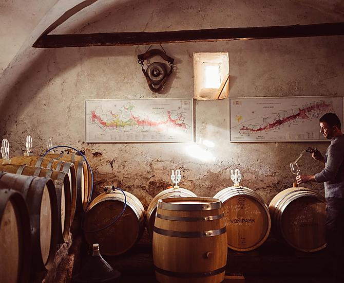 Weinhof Von Payr - Galleria fotografica Photo
