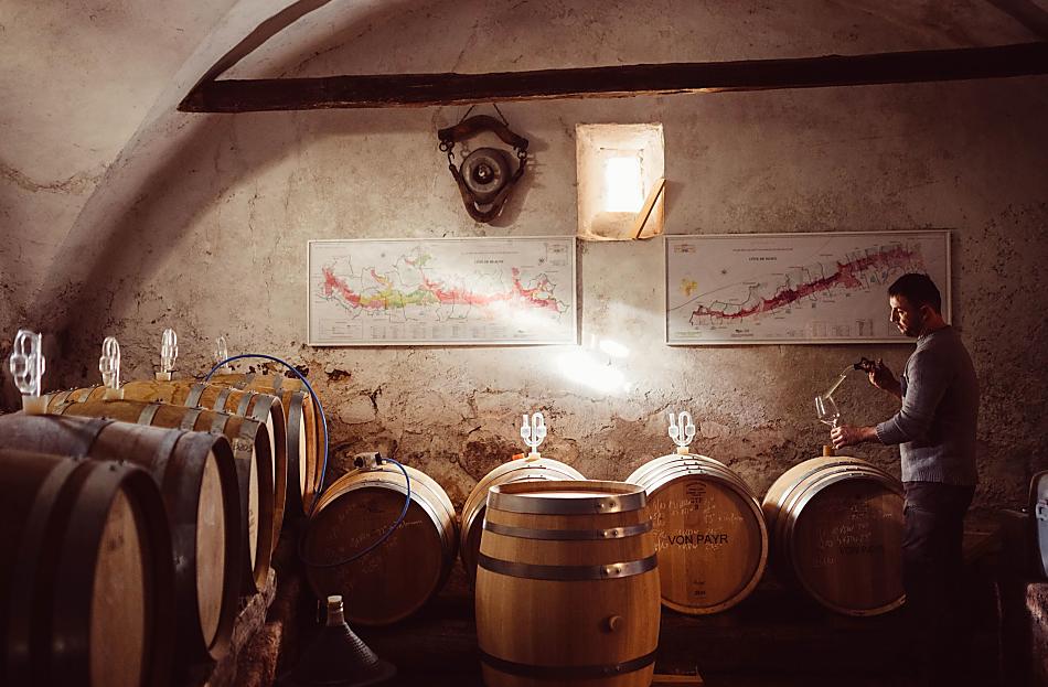 Weinhof Von Payr - Galleria fotografica Photo