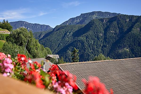 Oberfelsonnerhof - Camere e appartamenti Photo