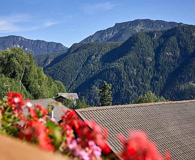 Oberfelsonnerhof - Galleria fotografica Photo