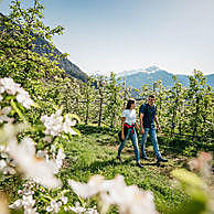 Wandelingen en eerste fietstochten die de moeite waard zijn
