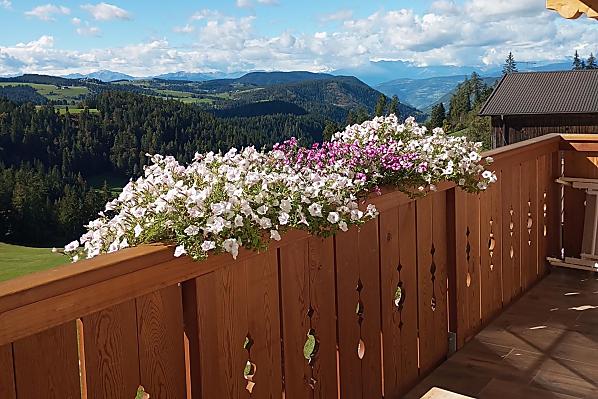 Oberbühlhof - Camere e appartamenti Photo