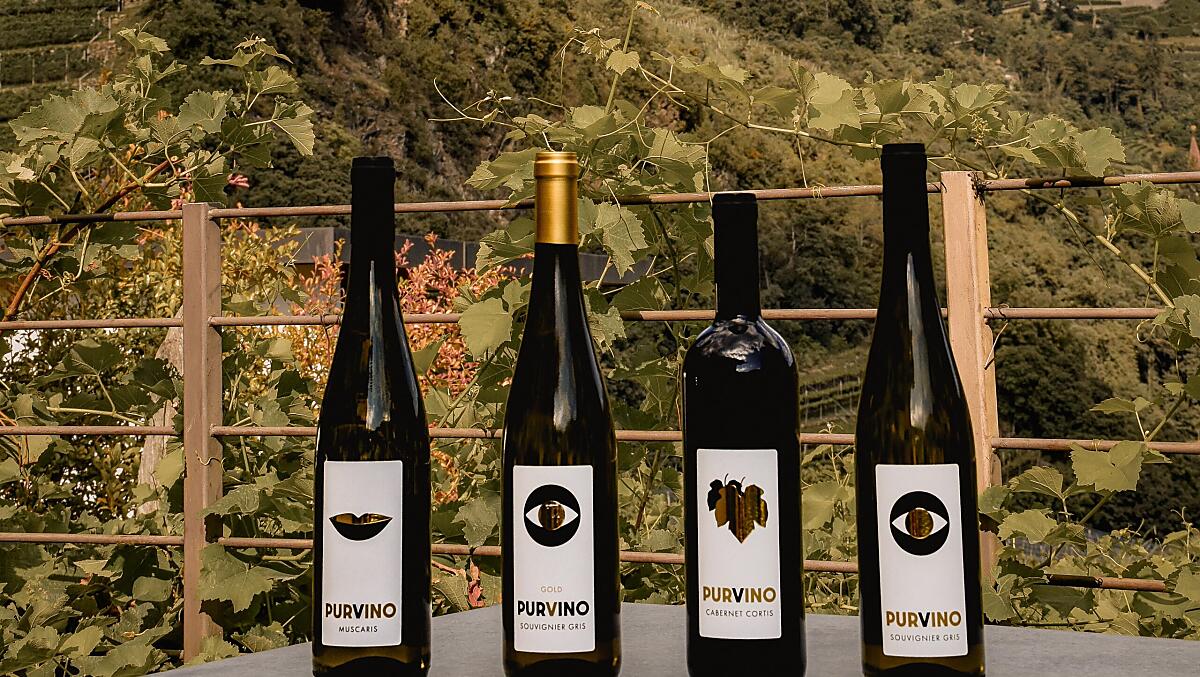 Purvino: PIWI-wijnen (Souvignier Gris, Muscaris, Cabernet Cortis)